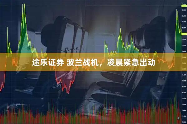 途乐证券 波兰战机，凌晨紧急出动